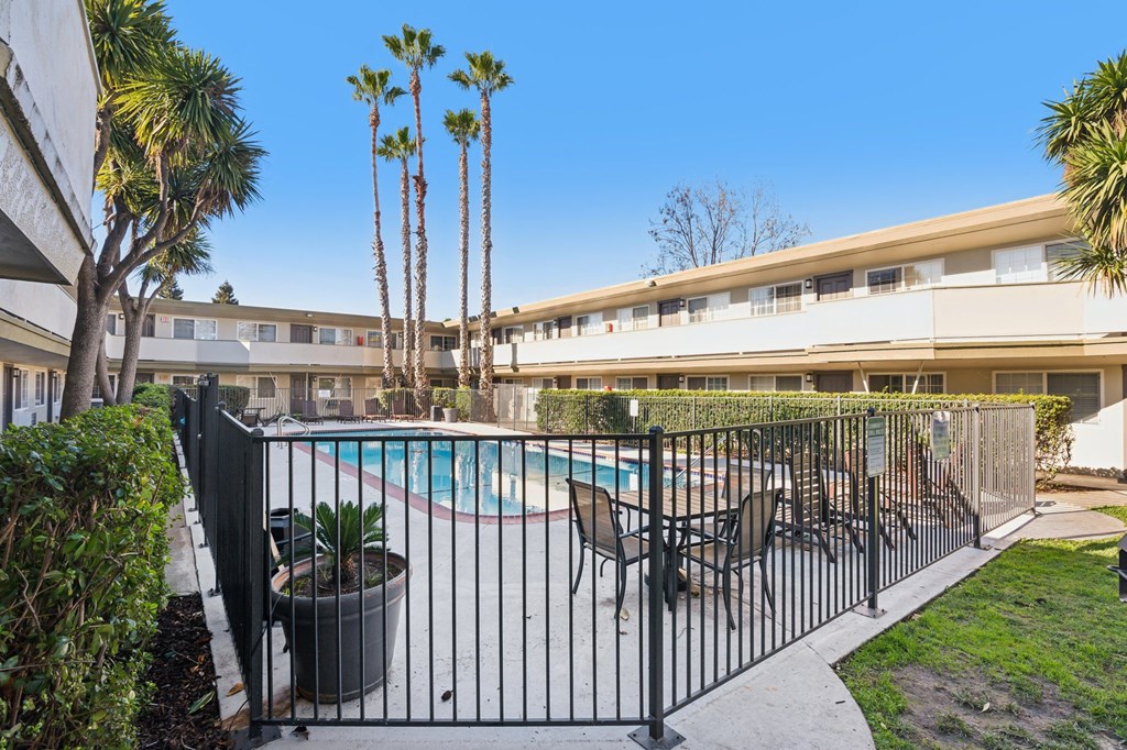 Apartments for Rent in Hayward, CA - Paseo Gardens - Swimming Pool in the Middle of Apartment Buildings with Lounge Chairs, Table, Chairs, and Tall Palm Trees.