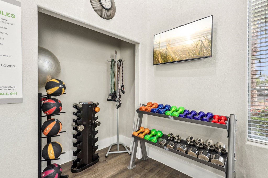 A room with a rack of exercise balls and a wall with a clock.