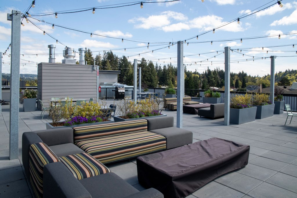 a roof top patio with couches and tables and lights