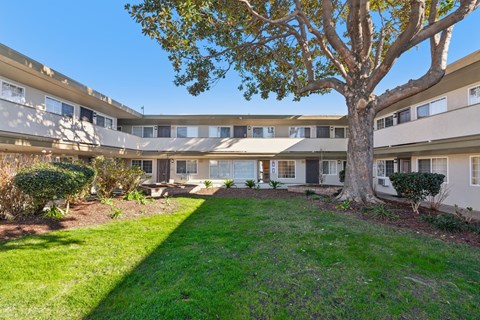 A tree in front of a building with a lawn in the foreground.
