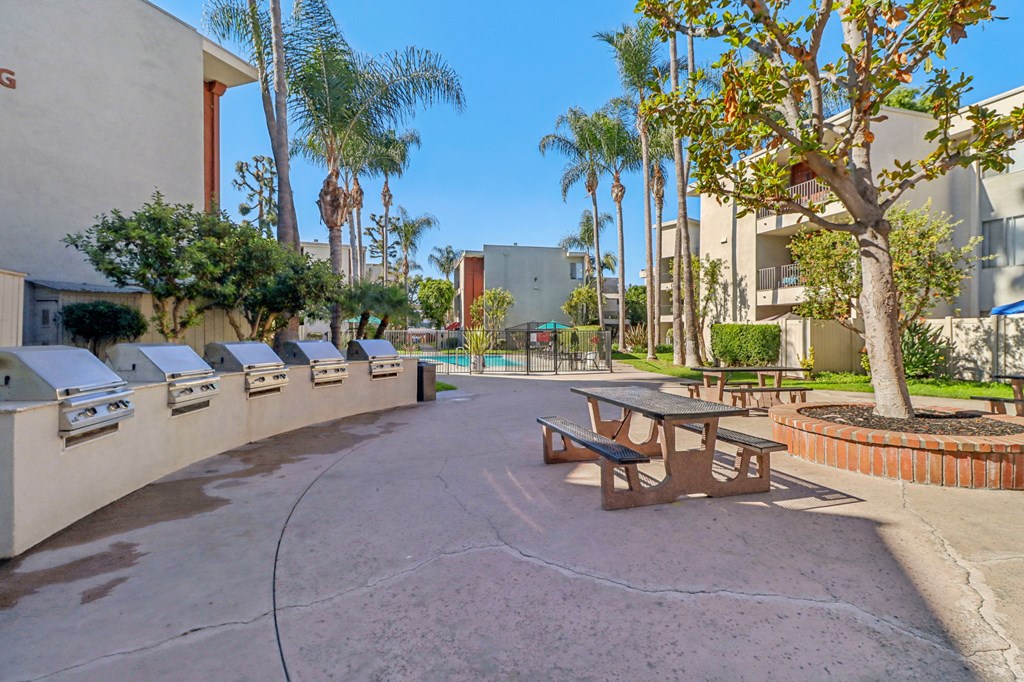 A sunny day at the outdoor picnic area with palm trees and benches.