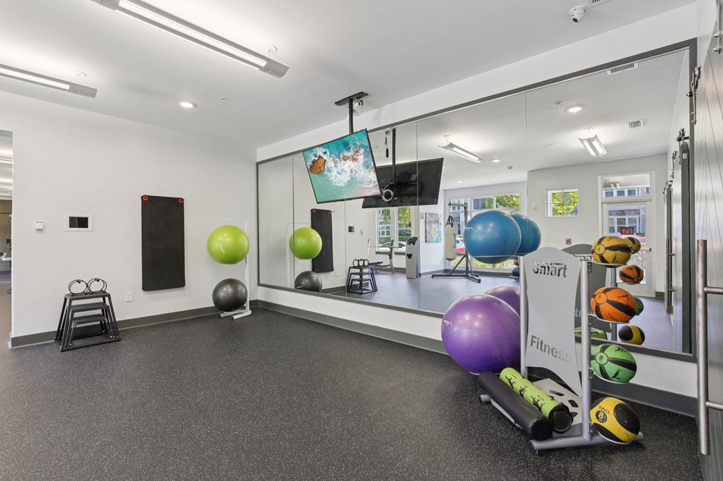 Colorful yoga balls arranged in the fitness center at Lotus at Starkey Ranch in Odessa, Florida.