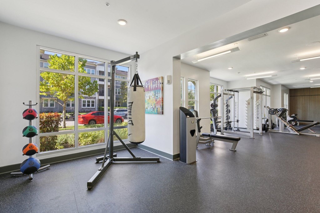 “Modern fitness room with treadmills and exercise bikes at Lotus at Starkey Ranch in Odessa, Florida.