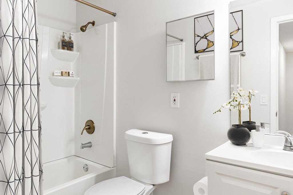 a small bathroom with a shower and toilet