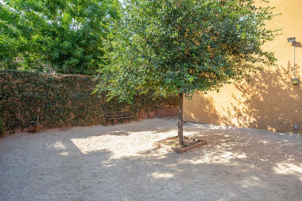 a tree and a bench in a courtyard