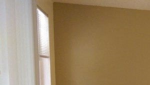 Lots of natural light in apartment - Photo Gallery