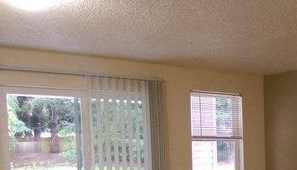 Patio - Photo Gallery