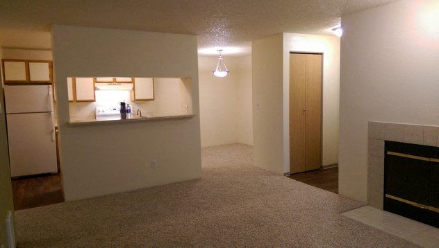 Open living room & kitchen area