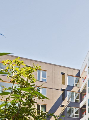 Courtyard Courtyard at Astro Apartments, Seattle, Washington - Photo Gallery 6