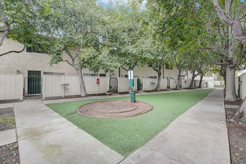 One-Bedroom Apartments in San Jose, CA - Los Gatos Creek - Outdoor Courtyard With Turf Lawn, Mature Shade Trees, Concrete Pathways, and Apartment Building Entrances.