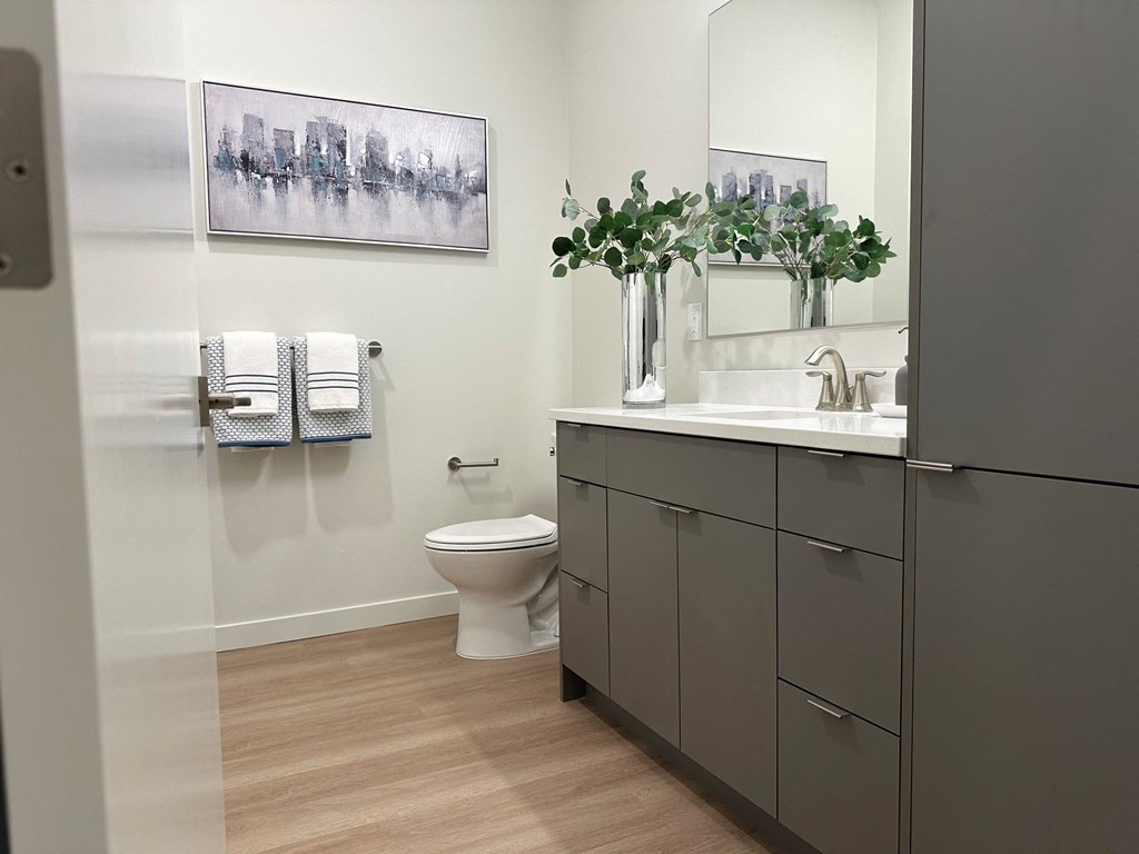 a bathroom with a toilet and a sink and a mirror