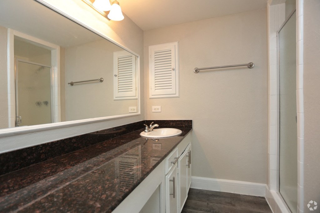 a bathroom with a sink and a mirror and a shower