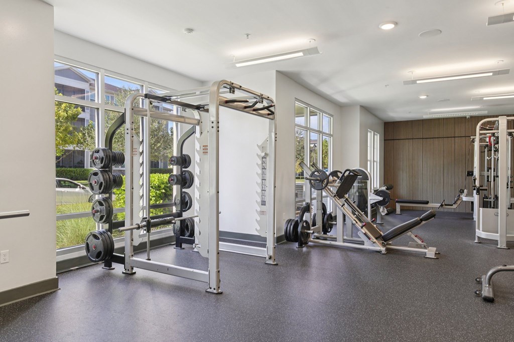 A gym with a variety of equipment including a squat rack, bench press, and a leg press machine.
