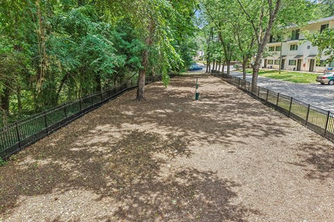 A tree-lined path with a black fence on either side.