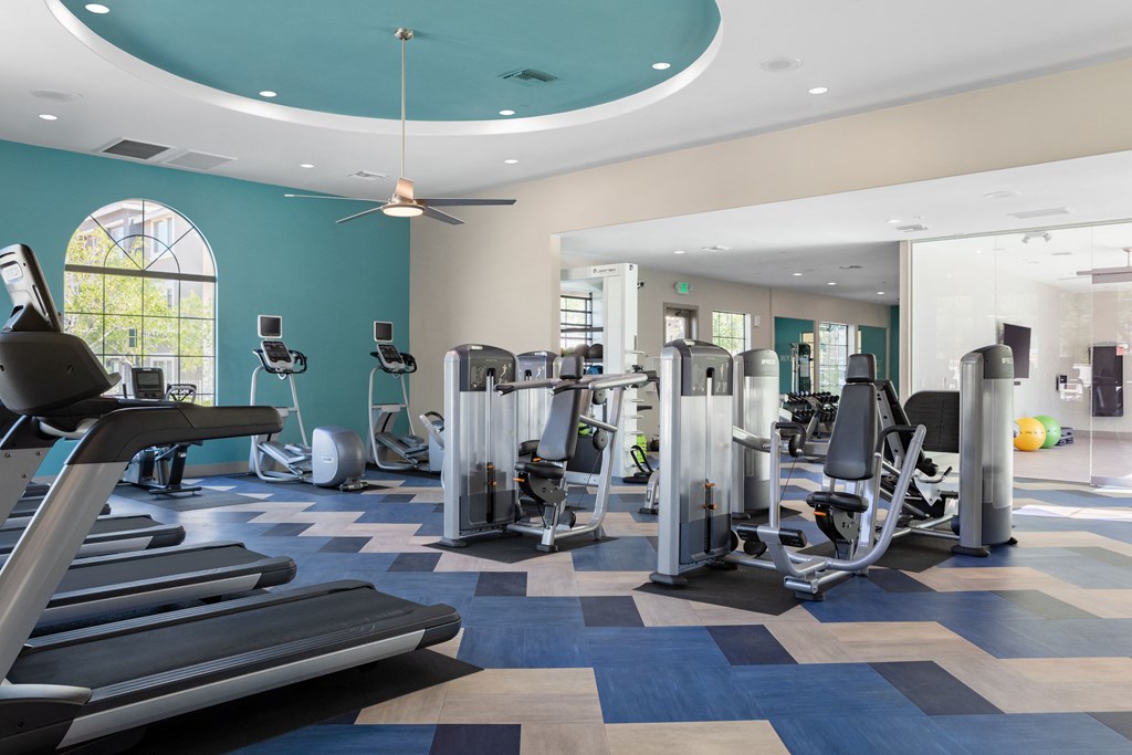 Mountain Gate And Mountain Trails