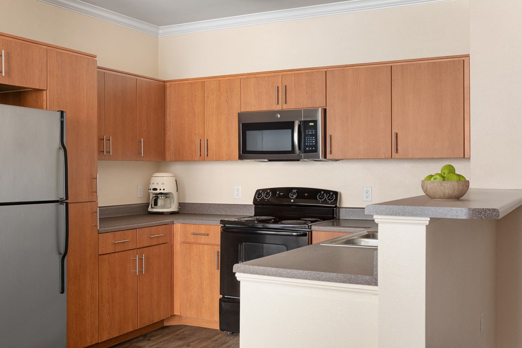 Mountain Gate And Mountain Trails