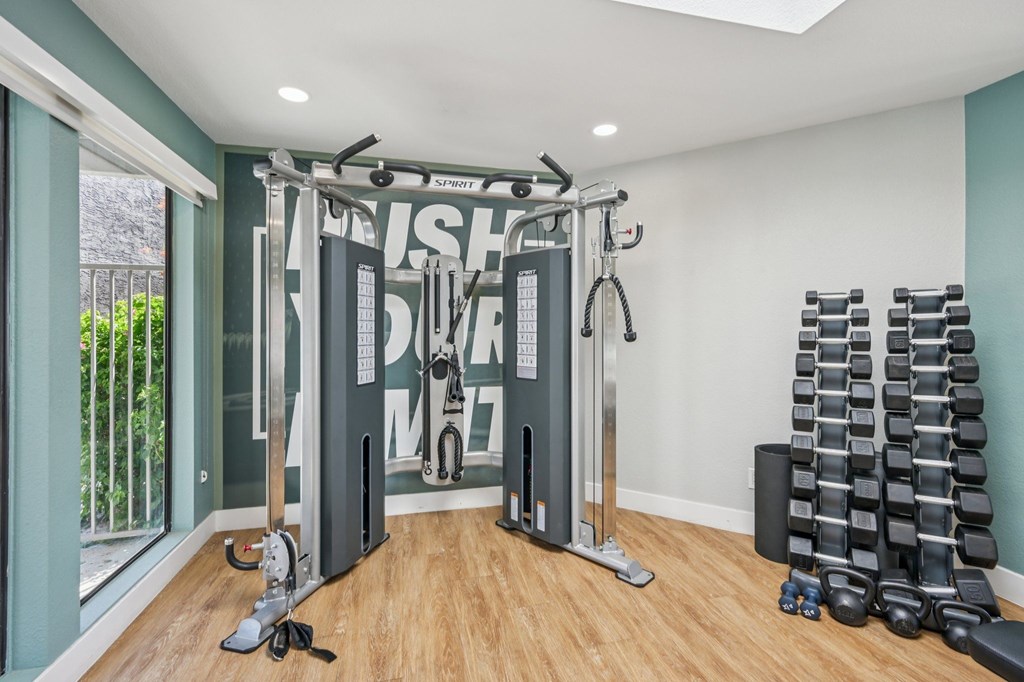 A home gym with a squat rack, dumbbells, and a bench.