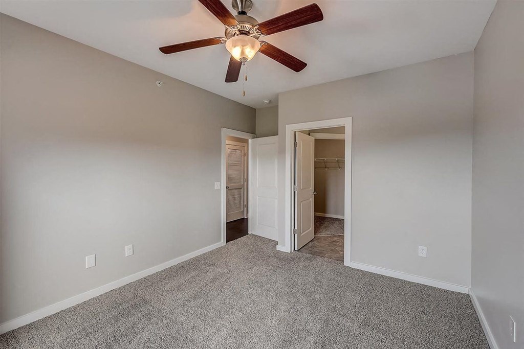 a bedroom with gray walls and a ceiling fan