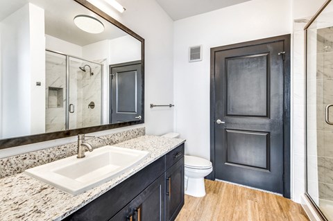 a bathroom with a sink and a toilet and a mirror