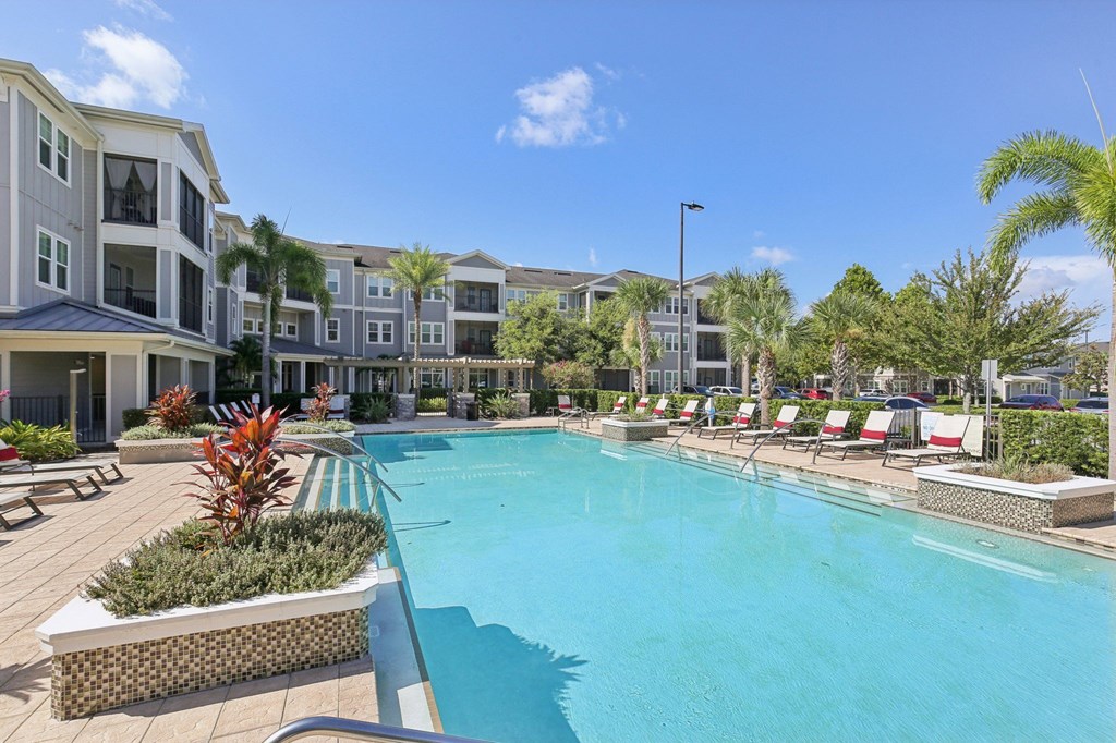 Poolside area featuring lounge chairs and palm trees at Lotus at Starkey Ranch in Odessa, Florida.