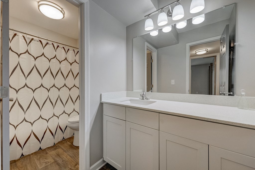 Sandy Springs, GA Apartments – Celebration at Sandy Springs - a bathroom with a sink and a mirror and a toilet