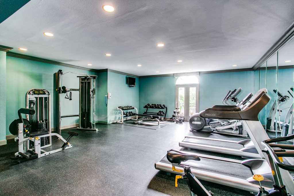 a gym with cardio equipment and weights on the floor and a window