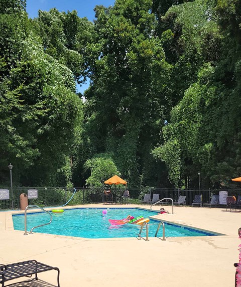A pool surrounded by trees and umbrellas.