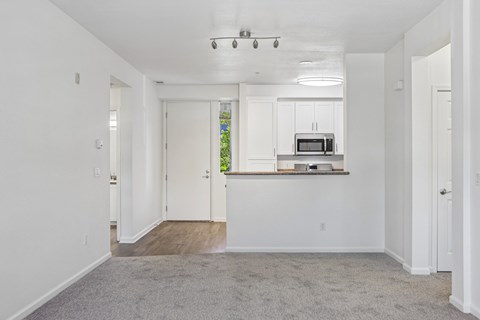 A spacious room with a grey carpet and a kitchen area with a microwave and oven.