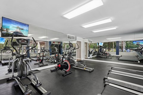A gym with a variety of equipment including treadmills, stationary bikes, and weight machines.
