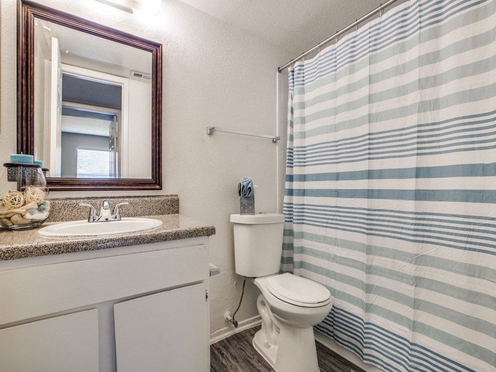 a bathroom with a shower toilet and sink and a mirror