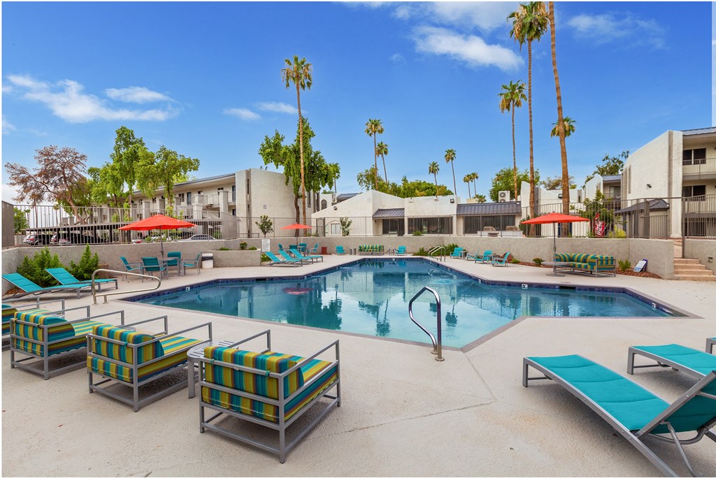 Studio Apartments in Phoenix, AZ - Adrella on 28th - Resort-Style Pool with Lounge Chairs, Tables, and Palm Trees.