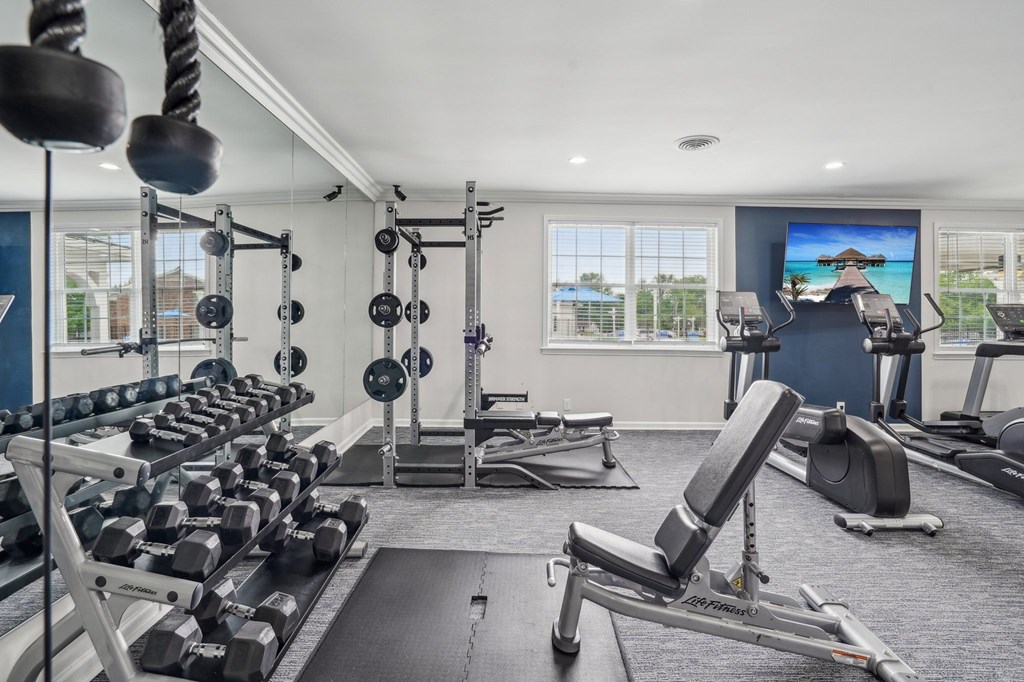 Well-equipped gym with free weights, weight racks, benches, and cardio machines.