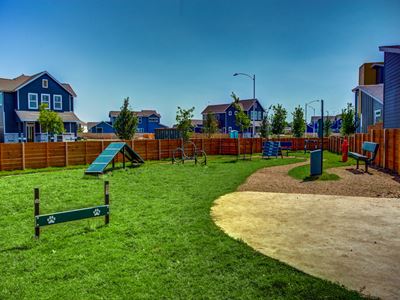 dog park