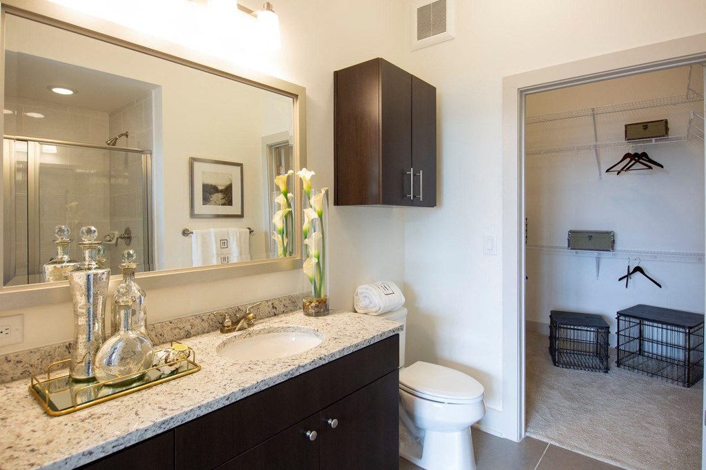 Pet-Friendly Apartments in Atlanta, GA - Arabelle Perimeter - bathroom with a sink and a toilet and a mirror