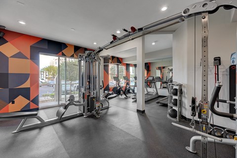 A gym with a variety of equipment including a squat rack and a leg press machine.