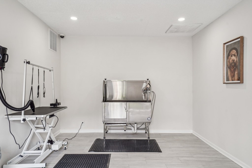 Dog grooming room with stainless steel tub and adjustable grooming table.