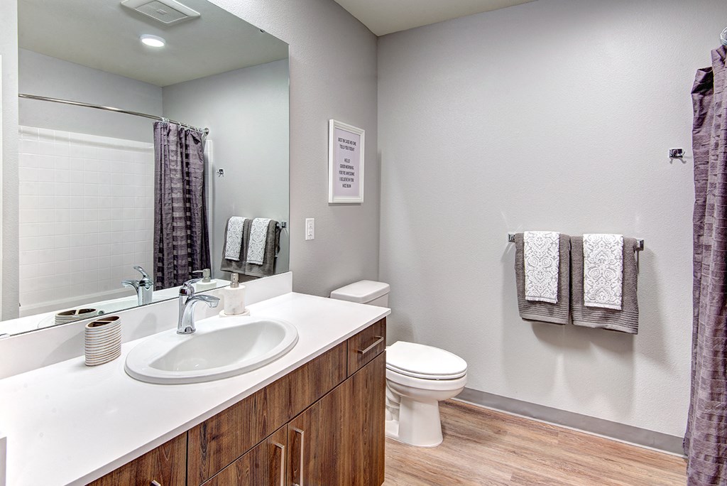 a bathroom with a sink toilet and a mirror