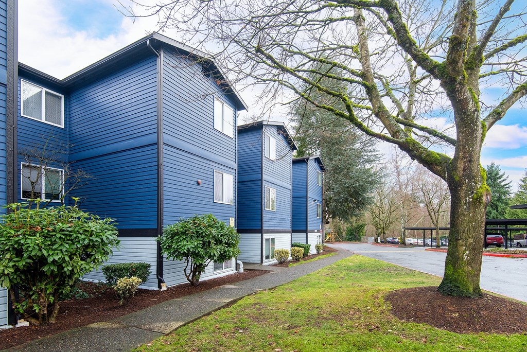 the building in which the apartment is located