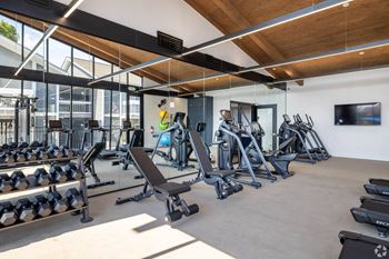 A gym with a variety of equipment including dumbbells, weight machines, and a flat screen TV.