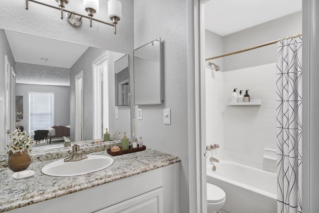 Affinitee at Stone Mountain Apartments photo of a bathroom with a sink and a mirror