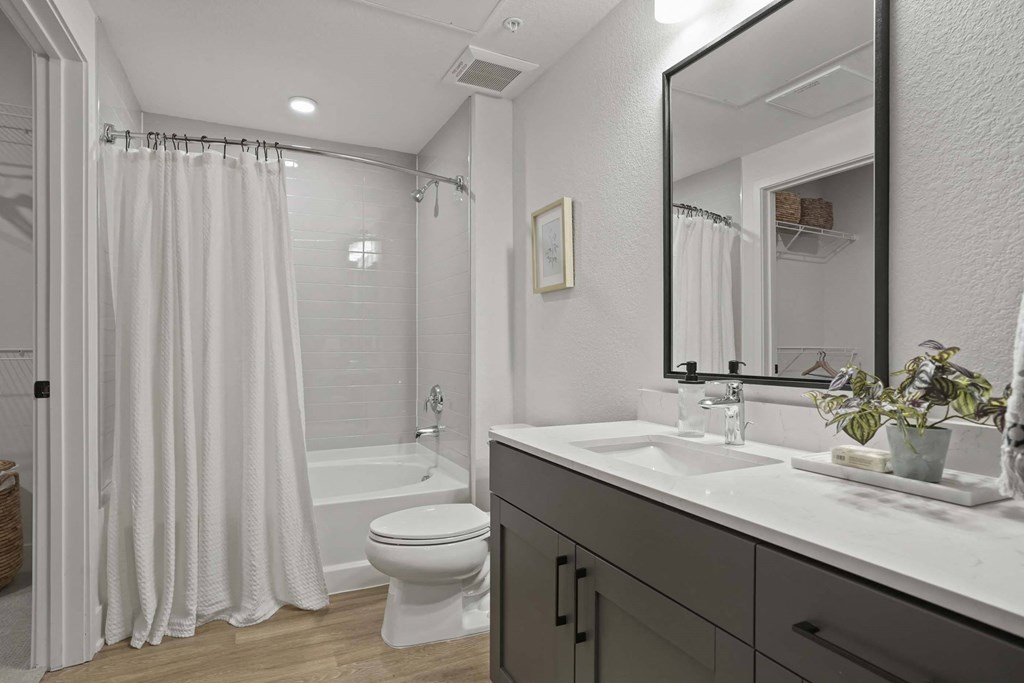 a bathroom with a sink and a toilet and a shower