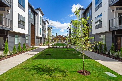 A tree in a small garden in front of apartment buildings.