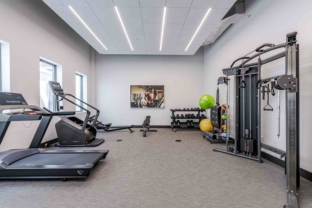 Pet-friendly Miami Beach apartment fitness center featuring treadmills, free weights, and weight machines in a clean, well-lit space.