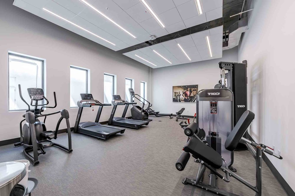 Pet-friendly Miami Beach apartment community fitness center featuring modern exercise equipment and a clean, well-lit space.