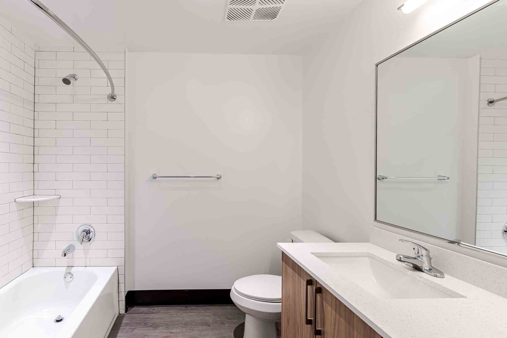 Pet-friendly home featuring a modern bathroom in a Miami Beach apartment.