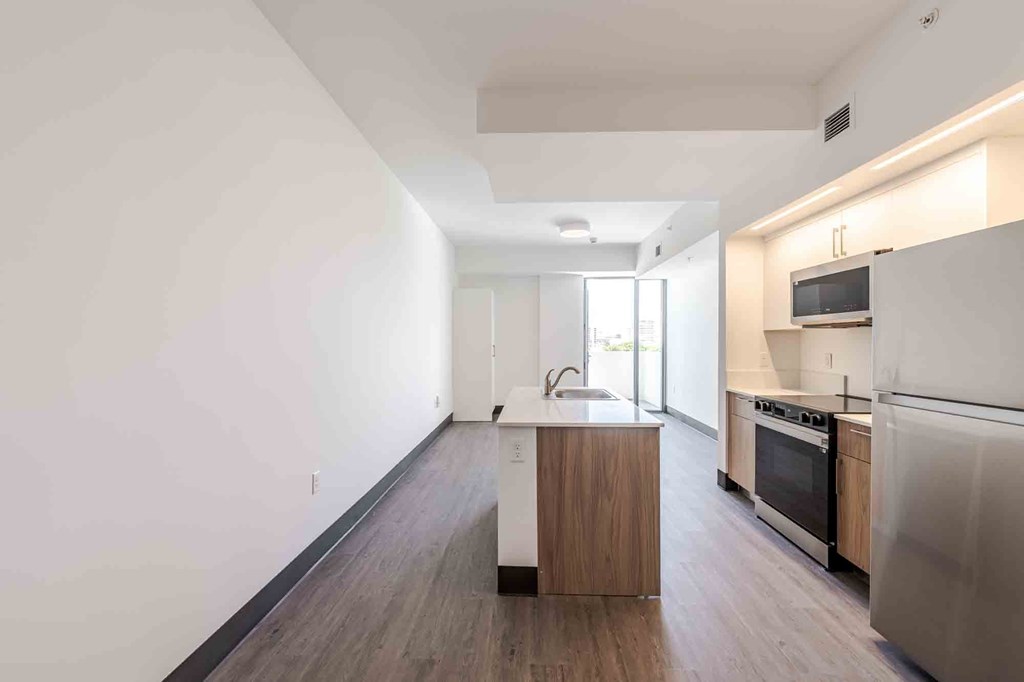 Pet-friendly home with a modern kitchen featuring energy-efficient appliances in a Miami Beach apartment.