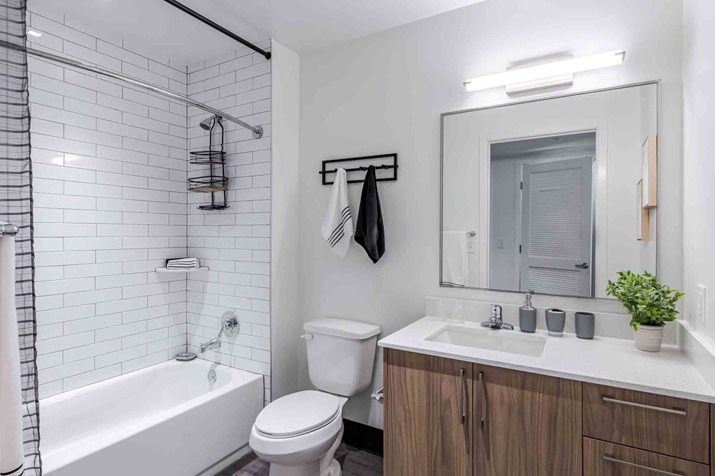 Pet-friendly home featuring a bathroom with a shower tub combo, modern fixtures, and clean design in a Miami Beach apartment.