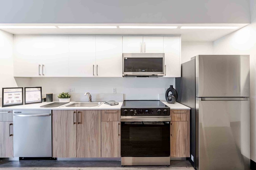 Modern pet-friendly apartment home in Miami Beach, Florida, showcasing an open-concept layout with energy-efficient appliances, sleek built-in microwave, refrigerator, and dishwasher in a stylish kitchen.