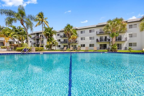 A large swimming pool in front of a building with palm trees.