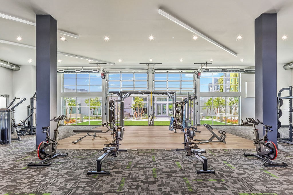 the apartments at masse corner 205 fitness room